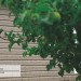 Сайдинг Ю-Пласт TIMBERBLOCK Пихта (Тимберблок) Cахалинская купить в Кимрах