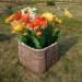 Цветник КАНЬОН купить в Кимрах