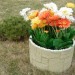 Цветник КАНЬОН купить в Кимрах
