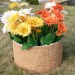 Цветник КАНЬОН купить в Кимрах